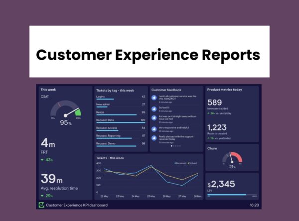 CEO Dashboard & Startup Excel Templates Bundle